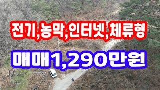 시골 밭 가격 1천290만원 가성비 매물,예쁜 땅 레전드 부동산 매매 최고의 급매물 산골 농막 체류형 아름다운 농촌 숲 토지 급매 땅땅 물건 슬기로운 대박 생활 돈버는 싼 땅