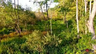 Drone Fly's Over Marsh Full Of Wildlife Relaxing 4K Drone Footage