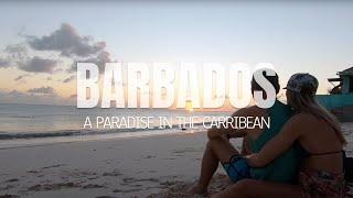 Kitesurfing and exploring Barbados