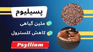 رفع یبوست و کاهش کلسترول با ملین گیاهی پسیلیوم