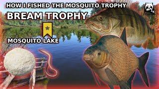 Russian Fishing 4 RF4 HOW I FISHED AND GOT ​​A TROPHY FISH Mosquito lake