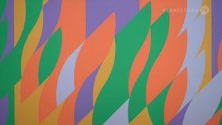 Bridget Riley im Zentrum Paul Klee, Bern