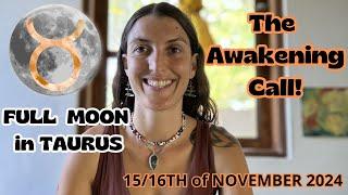 Full Moon in Taurus [Nov 15/16th, 2024]| The Awakening Call!