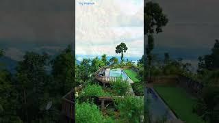 Lamahatta Resort View  #shorts #lamahatta #darjeeling #tsgtripperbong #reels