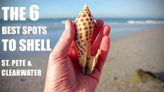 EXACTLY WHERE TO SHELL in St. Pete/Clearwater area of FLORIDA!