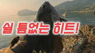 바닷길 열릴 때만 허락되는 새로운 입질 포인트!