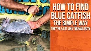 Find Blue Catfish The Simple Way (They're a LOT Like Teenage Boys)