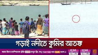 হঠাৎ করেই গড়াই নদীতে দেখা মিললো বিশাল কুমিরের; আতঙ্কে বাসিন্দারা | Crocodile Terror | Jamuna TV