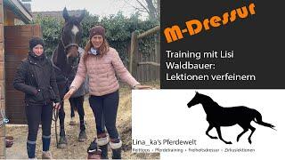 M-Dressur: Training mit Lisi Waldbauer - Lektionen verfeinern