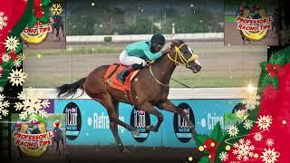 Caymanas Park Race Day Tips | Saturday December 28, 2024