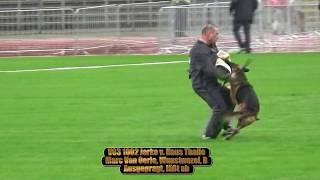 2017 SV BSZS in Ulm TSB part 73 V63 Jarko v. Haus Thalie