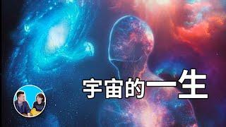 二十分鐘講完宇宙的一生，從一切的開始到結束 | 老高與小茉 Mr & Mrs Gao