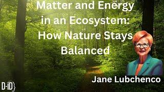 Matter and Energy in an Ecosystem  How Nature Stays Balanced