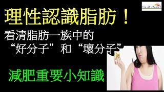減肥重要小知識：理性認識脂肪，看清脂肪家族中的 的“好分子”和“壞分子” #脂肪 #脂肪燃焼 #減肥 #健康科普 #健康生活