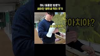 신기한 느낌의 친구