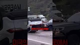 미국경찰의 놀라운 상황판단