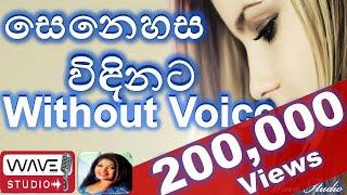 Senehasa windinata Karaoke Without Voice සෙනෙහස විඳිනට Karaoke