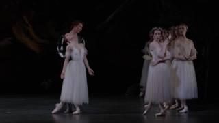 Adam: Giselle (Royal Opera House)