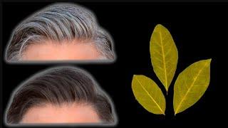 Gray hair disappears in 2 minutes! 100% efficiency! The best way! 8 recipes!