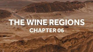 The Wine Regions | Chapter 6 | Backpacking South America | ExpLaura