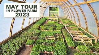 May Tour in Flower Farm 2023