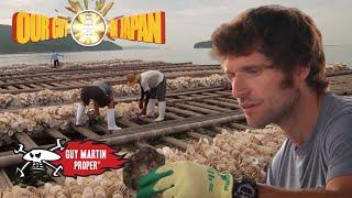 Guy goes Oyster farming in Japan | Guy Martin Proper