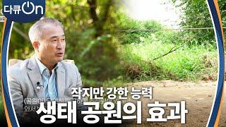 26년이 지난 생태공원, 놀라운 숲의 역할 [다큐ON-Docu ON] | KBS 231216 방송