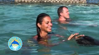 Swim with Dolphins in Punta Cana