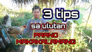 FOR NEWBIE | BY zammy infante vlog