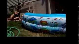 Shark Attack in the Kiddie Pool (finally)