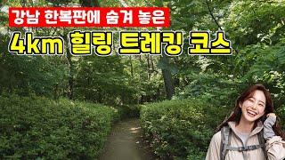 ‍강‍남 한복판에 숨겨진 4km 최애 힐링 숲길 ​| 도심산책 | 대중교통 | 당일치기 여행ㅣ지하철 여행ㅣ트레킹 코스ㅣ서울산책