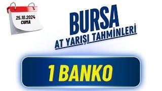 25 Ekim 2024 Cuma BURSA At Yarışı Tahminleri