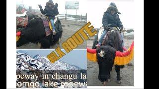 #ropeway in changulake#tsomgo lake ropeway#youtube #rimis vlogs.