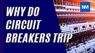 Reason Circuit Breaker Keeps Tripping    [Why do circuit breakers trip?]
