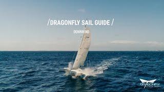 Dragonfly Sail Guide - Downwind