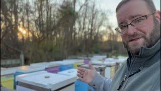 Keeping #honeybees in the winter | Maryland #Beekeeping