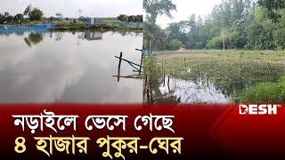 ভয়াবহ বন্যায় লক্ষীপুরে ক্ষতি ২২৭ কোটি টাকা | Flood Damage | News | Desh TV