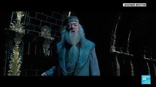 Sir Michael Gambon, veteran actor who played Dumbledore in 'Harry Potter, dies at 82 • FRANCE 24