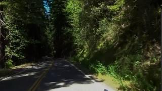 1947 Ford "Old Henry" drives Redwood National Park