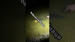 Підписуйся у нас весела та справжня рибалка! #fishing #shortsfishing #рибалка #блогер