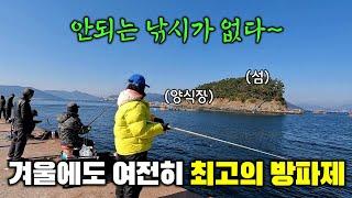 시장가지마세요~1년 365일 다양한 어종부터 왕문어까지 넘칩니다!(1인 7만원에 삼시세끼 주고 재워주는 미친 숙박패키지 공개!)