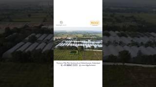 Discover Tranquil Valley, || Premium plots in Maheswaram || Myridgehomes