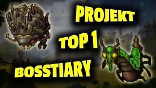 Tibia - Projekt TOP 1 w Bosstiary - Podsumowanie #2