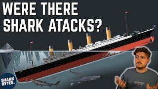 Were there Shark ATTACKS After the TITANIC Sank?