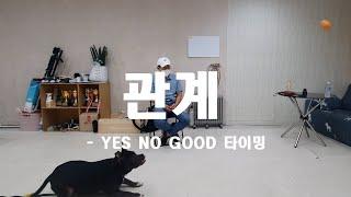 여러분들은 제가 말하는 것들을 이미 알고 있습니다. 관계, YES, NO, GOOD, 타이밍.