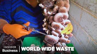 How Mushroom Startups Use Fungi To Fight Waste | World Wide Waste | Insider Business