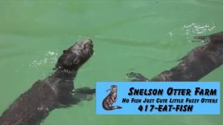 Snelson's Otter Farm