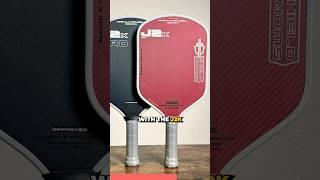 Paddle of the Year 2024