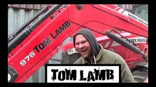 Tom Lamb