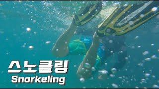 거제도 구조라 해수욕장(윤돌섬)에서 스노클링(snorkeling)을 하면서 수중촬영 까지 해 보았습니다.